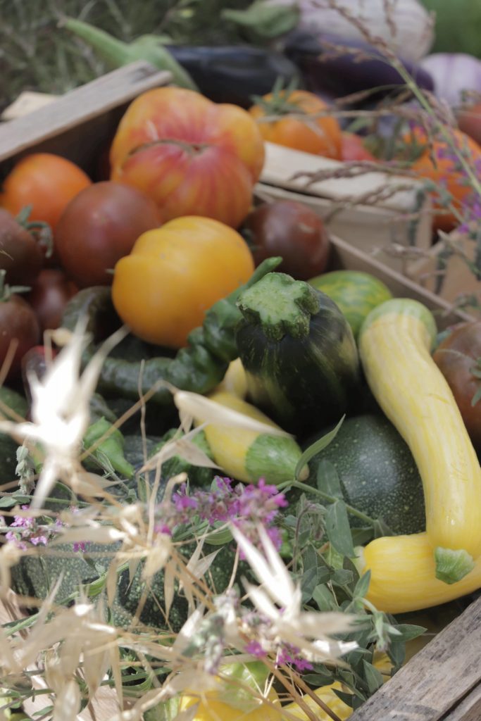 Le Mas de Cinq Sous potager